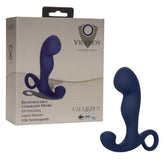 VICEROY 10X RECHARGEABLE COMMAND PROBE - BLUE